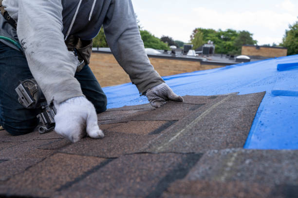 Fast & Reliable Emergency Roof Repairs in Centralia, MO